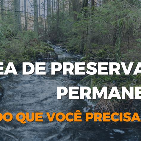 Rea De Preserva O Permanente Tudo Que Voc Precisa Saber Sl