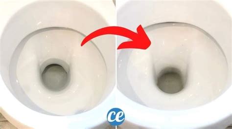 Comment Vider L Eau Des Toilettes Et Nettoyer Le Fond Facilement