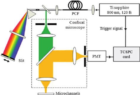 Experimental Setup Showing Supercontinuum Generation The Confocal