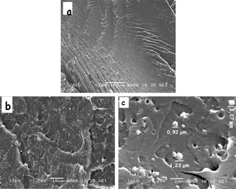 Sem Micrograph Of The Fracture Surface Of Pla Based Composites A