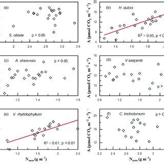 Relationships Between Leaf N And Carbon Isotopic Discrimination At