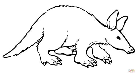 Aardvark coloring page | Free Printable Coloring Pages