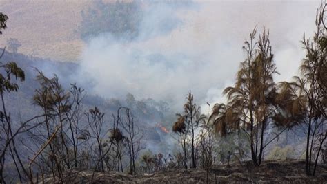 Petugas Alami Kesulitan Padamkan Karhutla Kawasan TNBTS Lumajang Yang