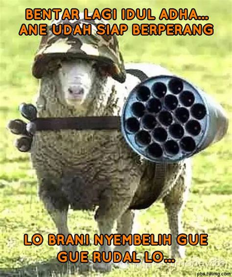 Meme Idul Adha Hewan Qurban Lucu Bikin Ngakak Blog Mamikos