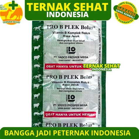 Jual Pro B Plek Bolus 1 Bolus Vadco Vitamin B Kompleks Rasa Jeruk