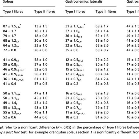 percentages  type   type ii fibres   muscles