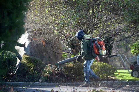 Norwalk To Ban Gas Powered Leaf Blowers In Certain Months