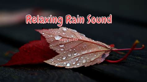 Relaxing Rain Sound Deep Sleep Meditation Youtube