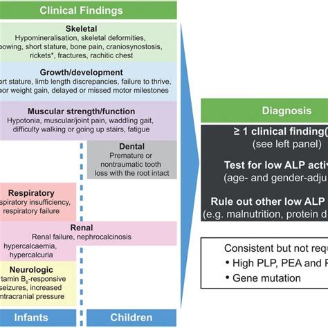 Hypophosphatasia HPP Diagnostic Pathway This Pathway Focuses On