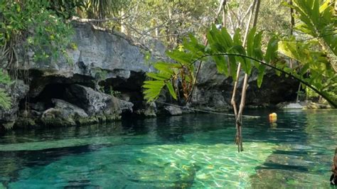 El Cenote De La Bruja O Cenote Negro De Bacalar Con La Mochila