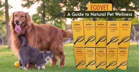 Ecovet – A Guide to Natural Pet Wellness - BudgetVetCare Blog