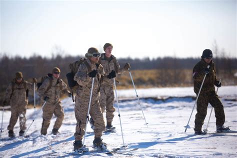 DVIDS - Images - Bilateral ski patrol training during Northern Viper ...