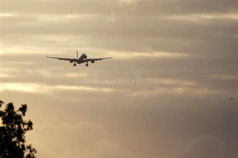 Air plane in sunset sky stock photo. Image of tourism - 158241150