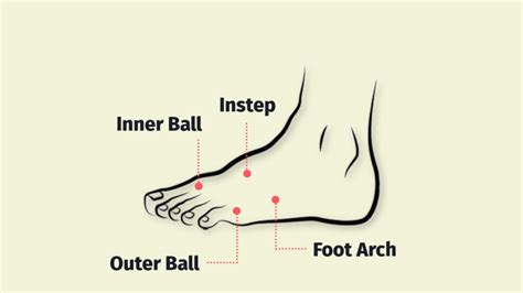 The Foot Anatomy Explained: Make Your Shoes Fit Better