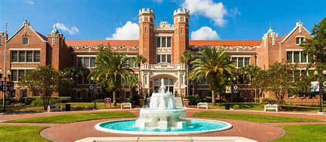 University of Florida slashes all D&I jobs and initiatives in major pullback | Diversity, Equity ...