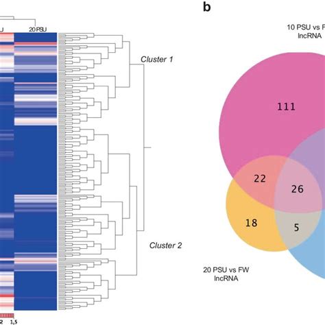 Transcriptome Profiling Of Long Non Coding Rnas During The Atlantic Salmon Smoltification