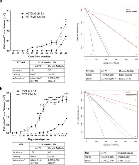 Extracellular Acidosis Increases In Vivo Tumor Initiation And Growth Of Download Scientific