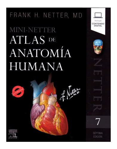 Atlas De Anatomia Humana Netter Para Colorear Netter Cuaderno De Anatom A Para Colorear 2 Edici