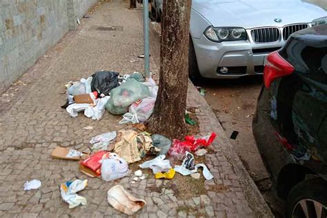 Lixo Descartado De Forma Incorreta Causa Transtorno No Santa Helena