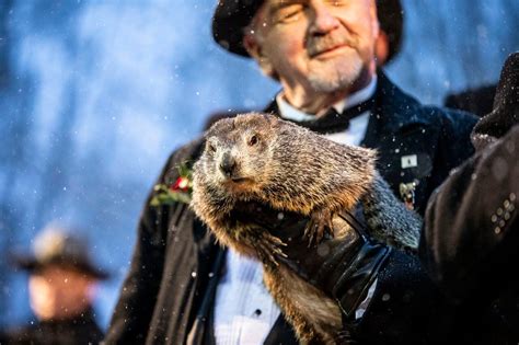 Groundhog Day 2021 How To Watch Punxsutawney Phils Prediction Live