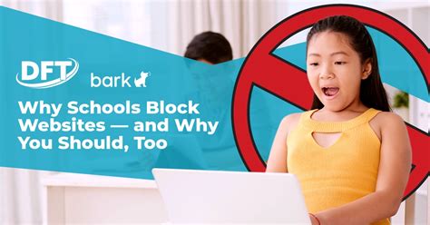 Why Schools Block Websites — and Why You Should, Too - DFT Communications