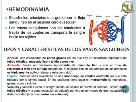 Circulación arterial venosa y microcirculación Rudolf Virchow PPT