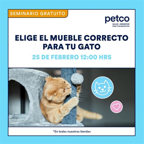 Seminarios Gratuitos Petco Fin De Semana Mueble Correcto Para Tu Gato