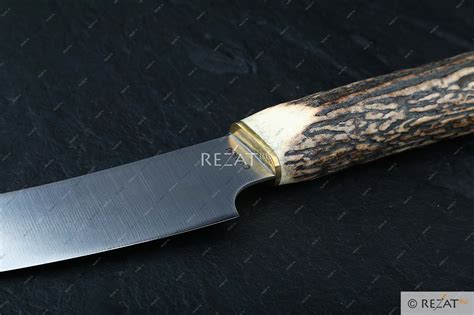 Походный полевой кухонный нож с фиксированным клинком G GS/11415 G ...