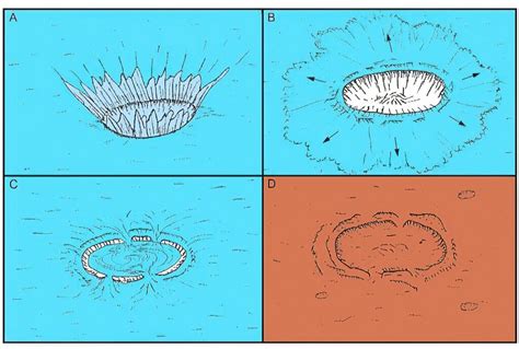 L Histoire Des M Ga Tsunamis Sur Mars L Astronomie Afrique