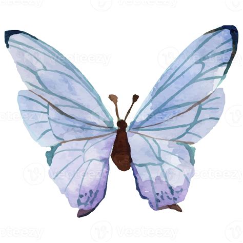 Watercolor Blue Purple Butterfly Png