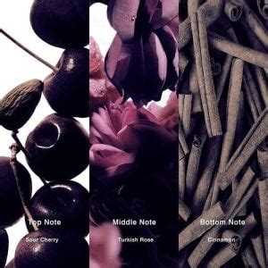 5 Top Tom Ford Vanilla Sex Perfume Dupe Choices