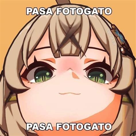 Len Nekito VTuber on Twitter Muy buenos días a todos aaaaaaa feliz