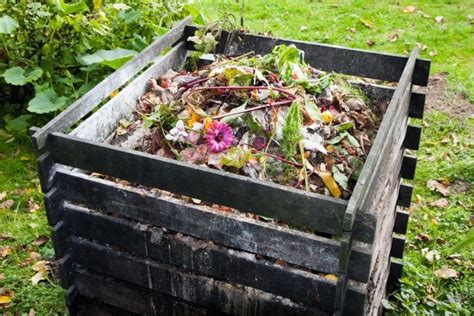 Saiba fazer a compostagem doméstica do lixo orgânico vegetal Câmara