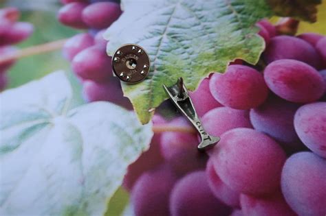 Wine Flute Lapel Pin Lapelpinplanet