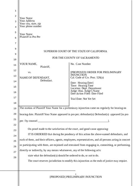 Preliminary Injunction Order Template Doc Template Pdffiller