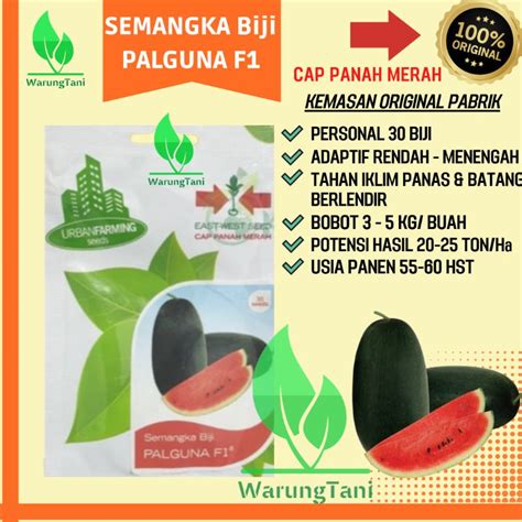 Jual Benih Bibit Semangka Palguna F Cap Panah Merah Shopee Indonesia