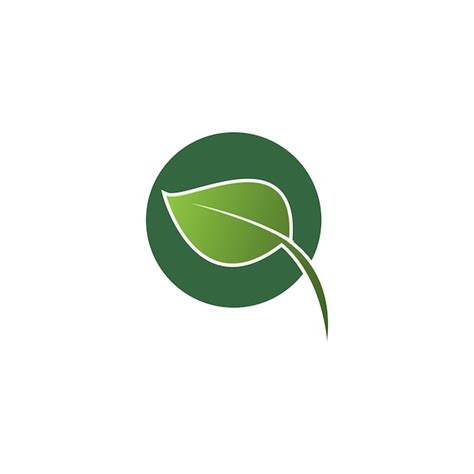 Premium Vector Leaf Logo