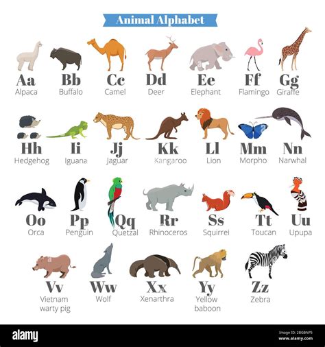 Alfabeto Animal En Ingles Para Imprimir Imagui Images