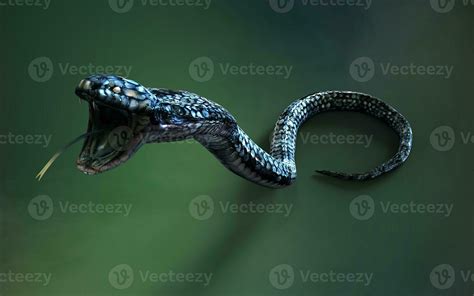 3d Illustration Blue color of King Cobra The World's Longest Venomous ...