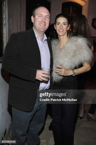 swans  swimming stock  high res pictures  images