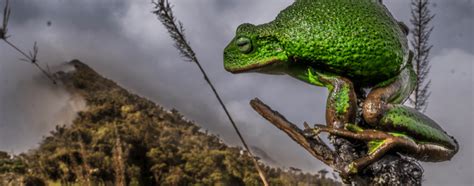 Per Los Secretos De La Cordillera De Col N Cient Ficos Suman