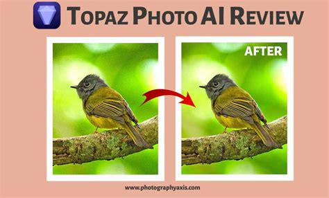 Topaz Photo AI Review With Before After Images 2024 PhotographyAxis