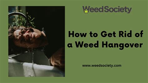 How to Get Rid of a Weed Hangover ? by WeedSociety - Issuu