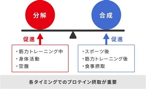 プロテインを飲むタイミングの目安はいつ？ Grong（グロング）