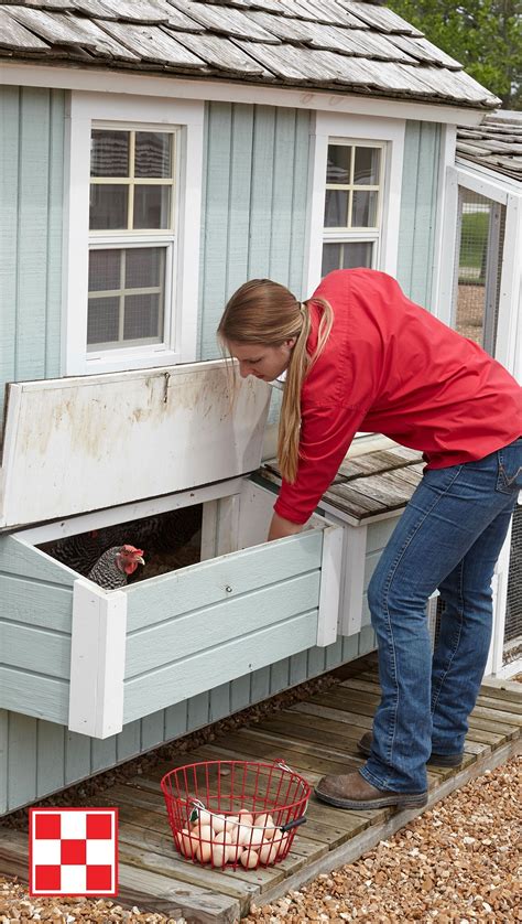 Outstanding 75 Creative And Low Budget Diy Chicken Coop Ideas For Your