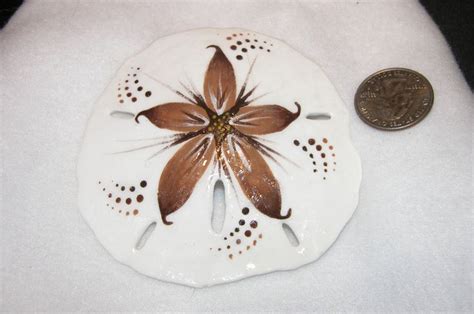 Handmade Hand Painted Sand Dollar Magnet Wall Etsy Painted Sand