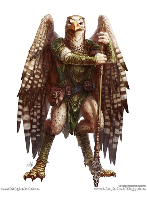 Aarakocra | Forgotten Realms Wiki | FANDOM powered by Wikia