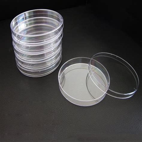 Plastic Petri Dish Pp For Chemical Laboratory Size Mm At Rs