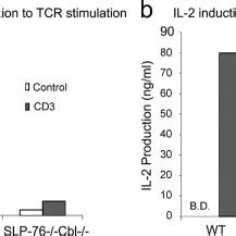 T Cell Proliferation And IL 2 Production In Response To TCR Stimulation