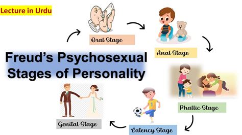 Psychosexual Stages Of Personality By Freud 5 Stages Of Psychosexual